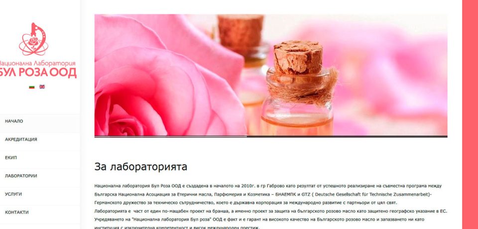 bulrose