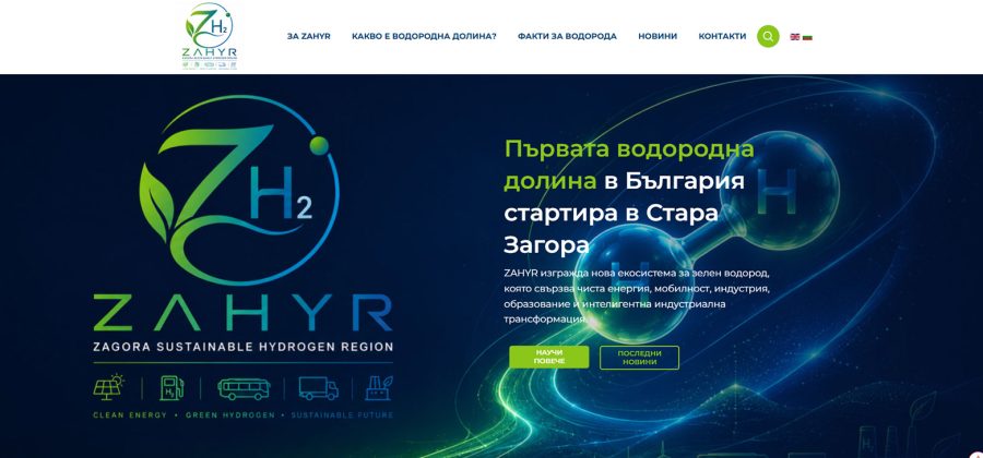 zahyr zahyr